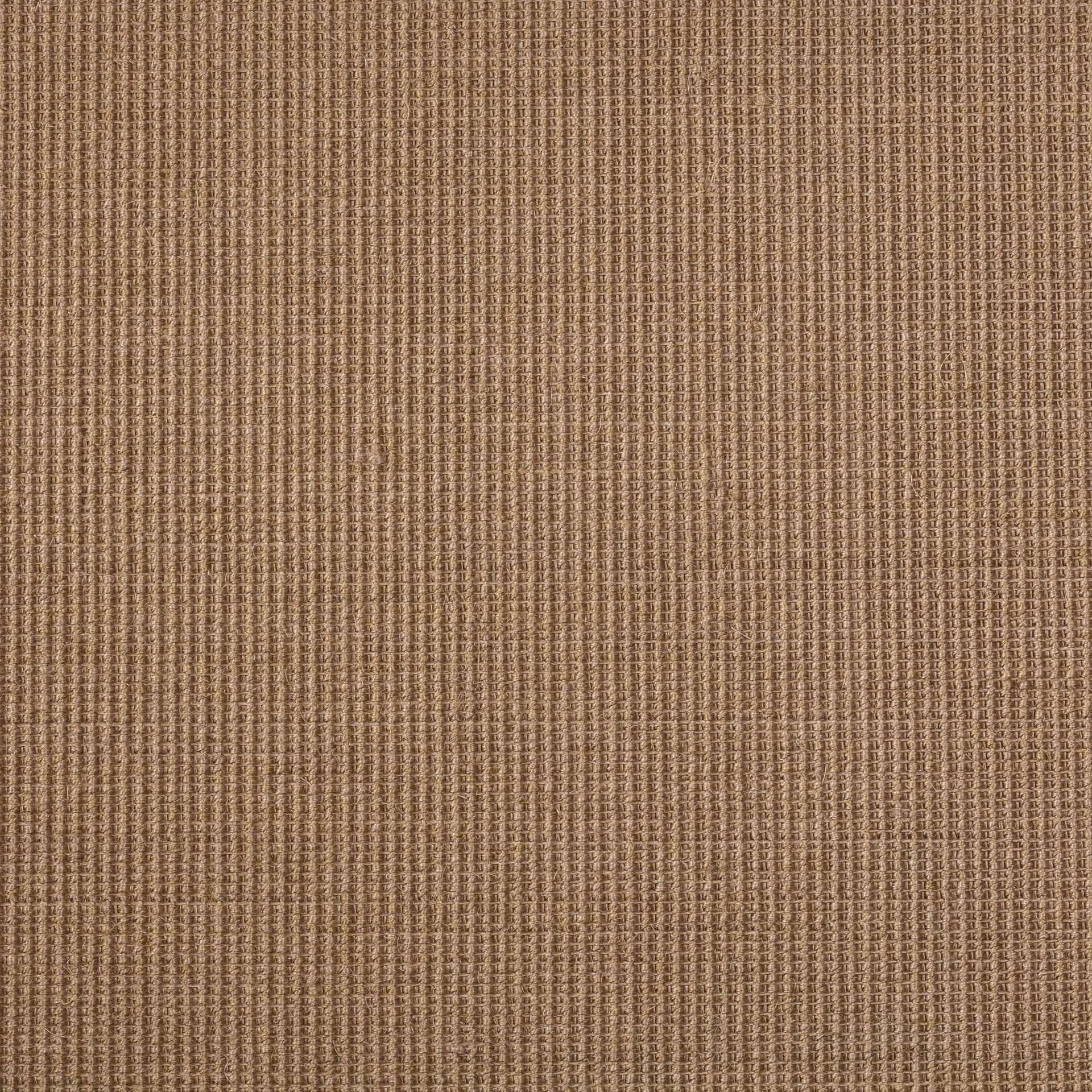 Sisal Teppich Brasilia 3150/B mit Baumwollbordüre – Bild 1