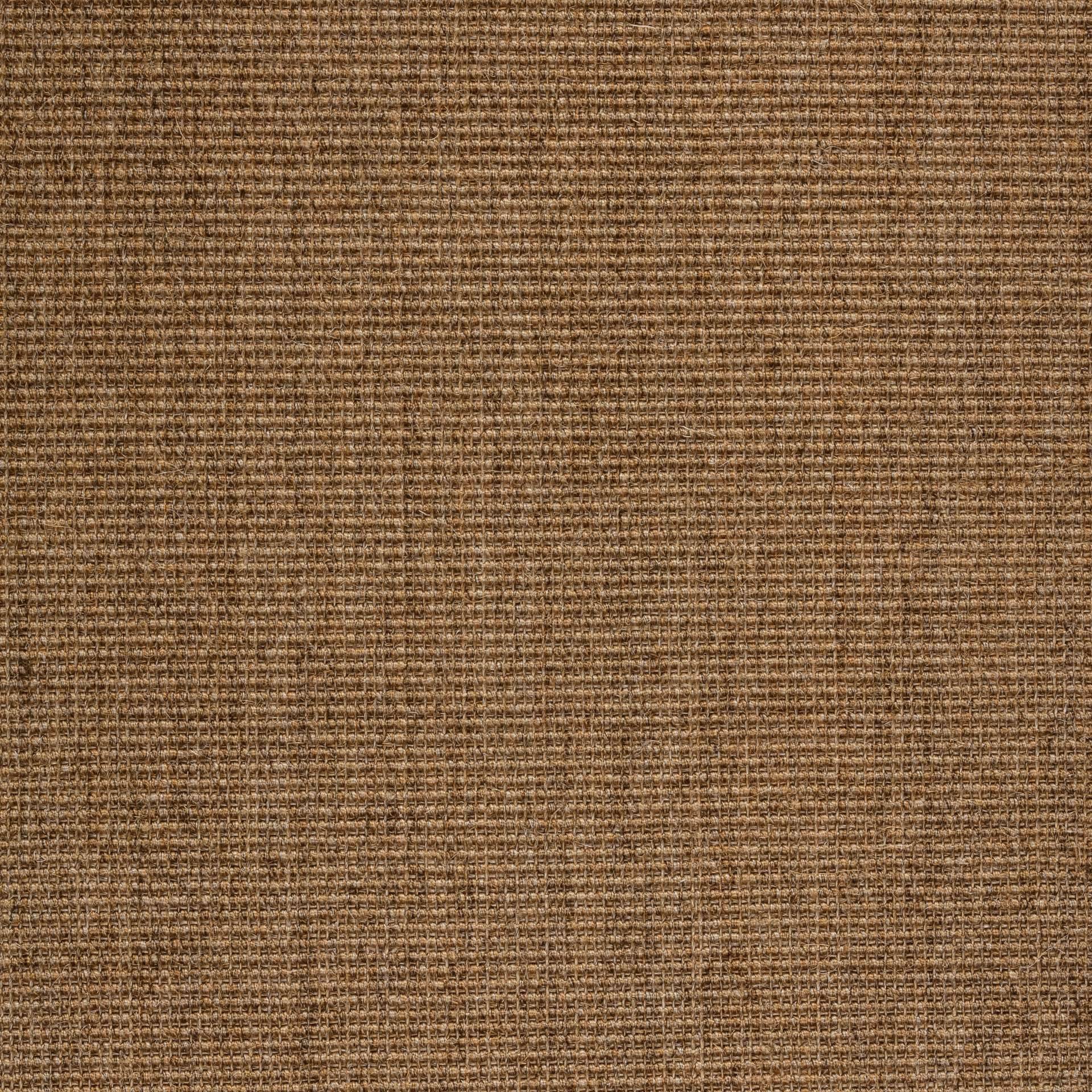Sisal Teppich Brasilia 3150/B mit Baumwollbordüre – Bild 1