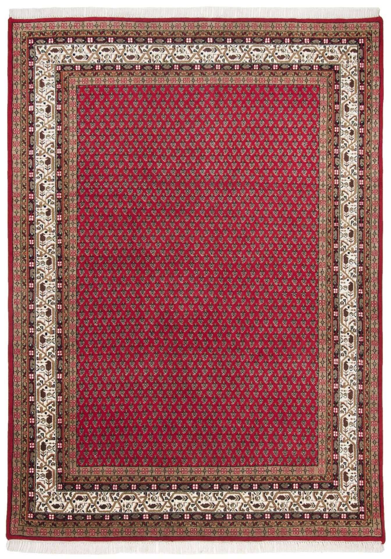 Chandi Mir 7/52 Handgeknüpft Reine Wolle – Bild 1