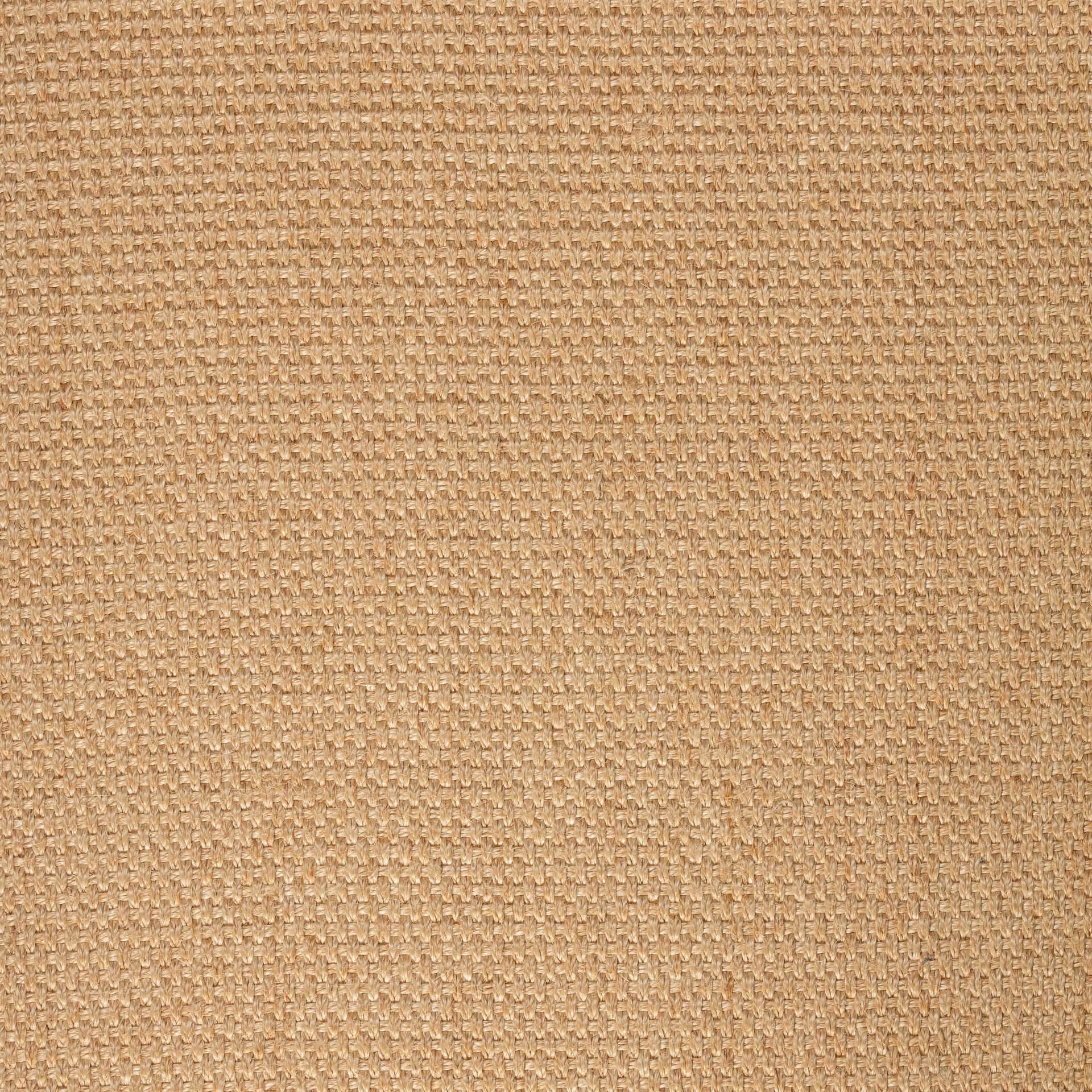 Sisal Teppich Quito 3230/B mit Baumwollbordüre  – Bild 1